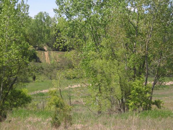 Manchester Speedway - May 2008 (newer photo)
